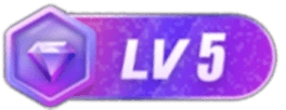 等级-LV5网赚项目-副业赚钱-互联网创业-资源整合圆梦网创