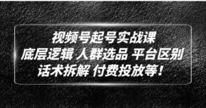底层逻辑《视频号起号实战课》话术拆解，付费投放网赚项目-副业赚钱-互联网创业-资源整合圆梦网创