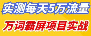 百度万词霸屏实操项目引流课，30天霸屏10万关键词网赚项目-副业赚钱-互联网创业-资源整合圆梦网创