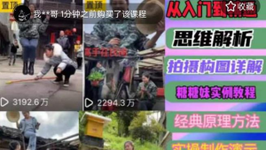 东方糖糖妹抖音短视频全套实战课思维+拍摄+剪辑+运营，从入门到精通网赚项目-副业赚钱-互联网创业-资源整合圆梦网创