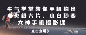 牛气学堂教你手机拍出电影级大片，小白秒变大神手机摄影课网赚项目-副业赚钱-互联网创业-资源整合圆梦网创