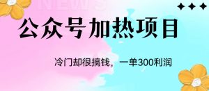 冷门公众号加热项目，每天1-2小时，一单100-300+网赚项目-副业赚钱-互联网创业-资源整合圆梦网创