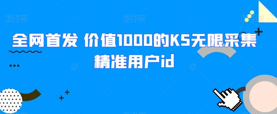 全网首发 价值1000的KS无限采集精准用户id网赚项目-副业赚钱-互联网创业-资源整合圆梦网创